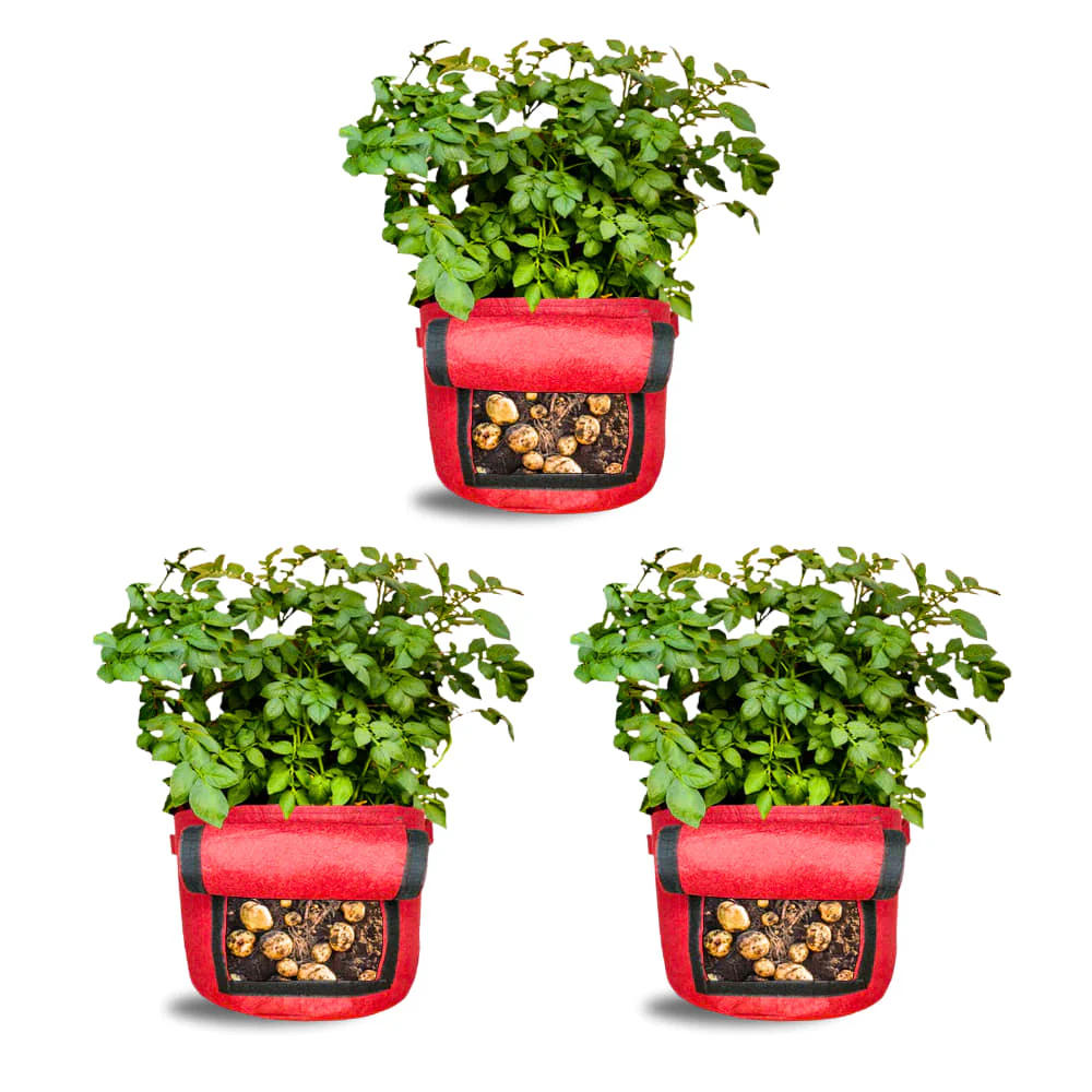 Geo Fabric 15X12 Potato Grow Bag With Harvest Window For Terrace Gardening Suitable For Vegetable and Flower Plants - Image 10