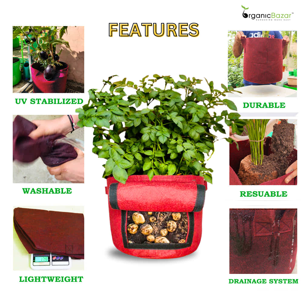 Geo Fabric 15X12 Potato Grow Bag With Harvest Window For Terrace Gardening Suitable For Vegetable and Flower Plants - Image 3