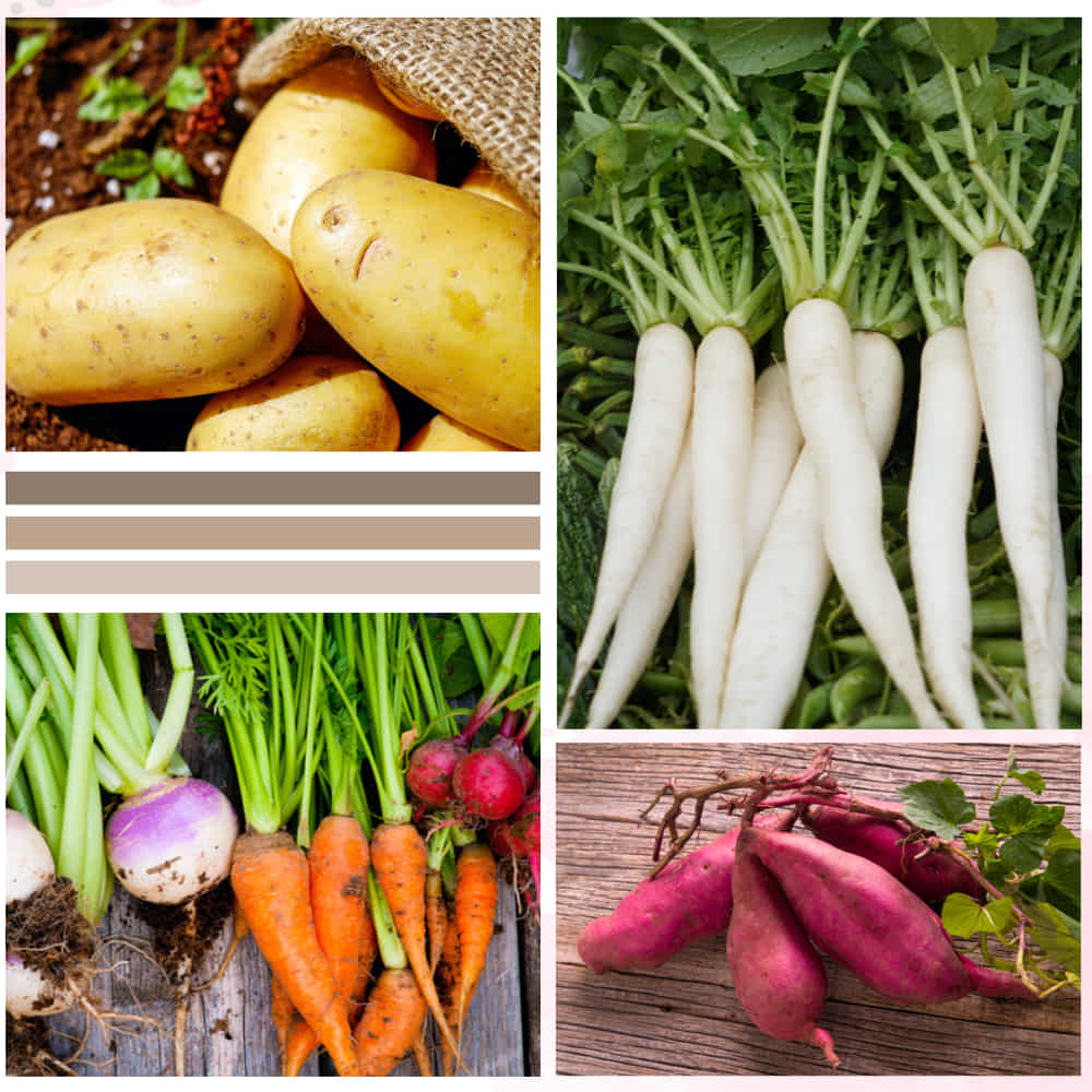 Geo Fabric 15X12 Potato Grow Bag With Harvest Window For Terrace Gardening Suitable For Vegetable and Flower Plants - Image 6