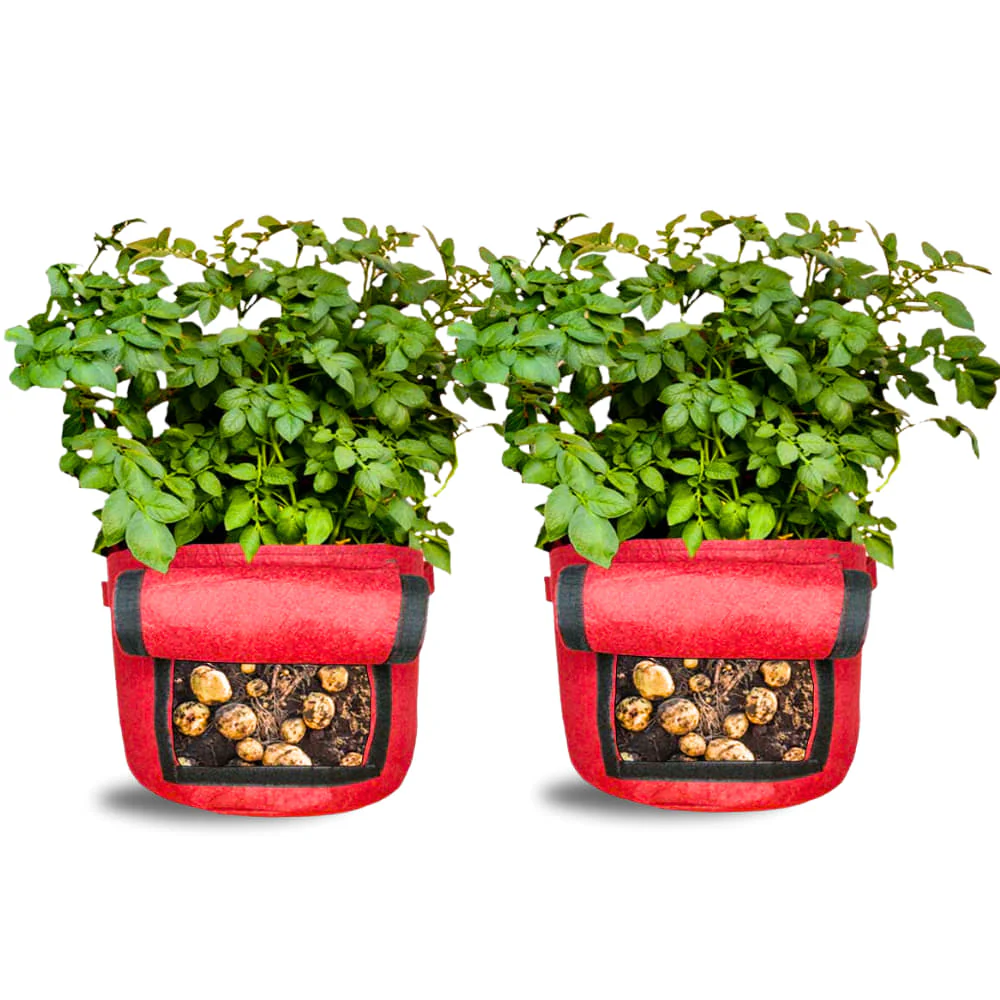Geo Fabric 15X12 Potato Grow Bag With Harvest Window For Terrace Gardening Suitable For Vegetable and Flower Plants - Image 9