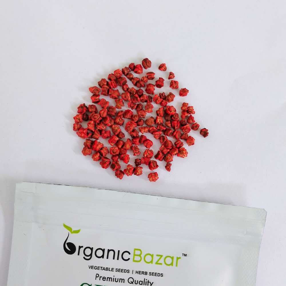 Beetroot (chukandar) Seeds - 150 Seeds (चुकंदर के बीज) - Image 4