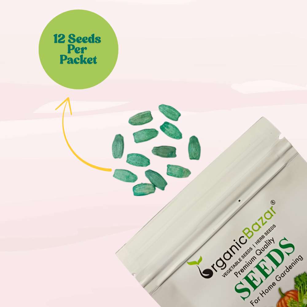 Bottle Gourd (Lauki / Ghiya) Long Seeds - 12 Seeds (लौकी के बीज) Easy To grow, High Germination, High Yield, Perfect Seeds for Terrace gardening - Image 5