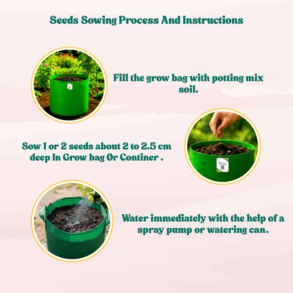 Bottle Gourd (Lauki / Ghiya) Long Seeds - 12 Seeds (लौकी के बीज) Easy To grow, High Germination, High Yield, Perfect Seeds for Terrace gardening - Image 8