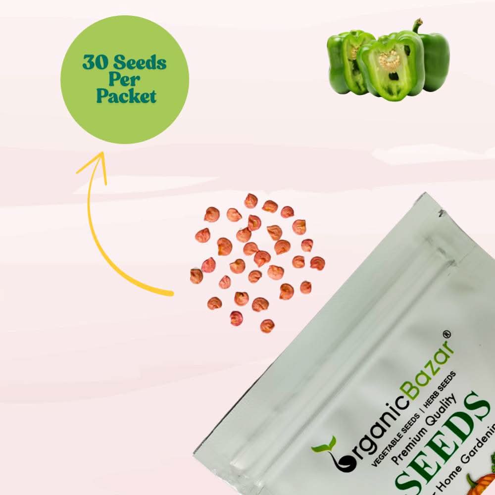 Capsicum (Hari Shimla Mirch) Seeds F1 Hybrid - (30 Seeds) High Yield | High Germination | Best for Home Gardens (हरी शिमला मिर्च के बीज) - Image 6
