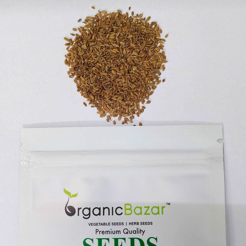 Carrot Orange Seeds - 1000 Seeds (Gajar/गाजर के बीज) - Image 4
