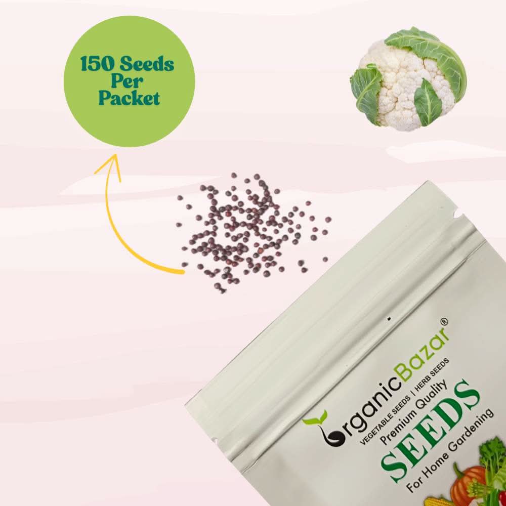Cauliflower Seeds - 150 Seeds (Phool Gobhi/फूलगोभी के बीज) High Germination /Easy to Grow/Ideal for Terrace/Kitchen Gardening - Image 3
