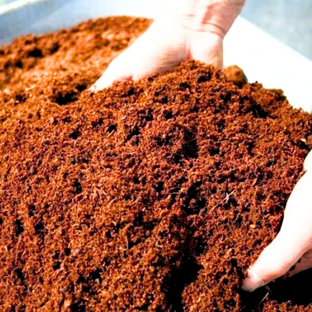 Cocopeat Brick 10 Kg Block – Organic Growing Medium for Gardening - Image 4