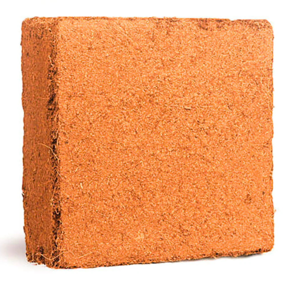 Cocopeat Brick 10 Kg Block – Organic Growing Medium for Gardening - Image 3