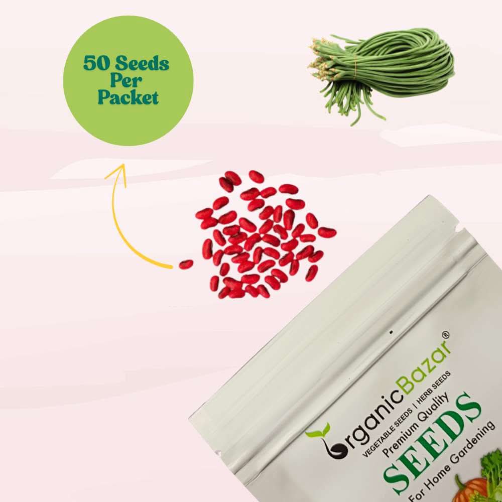 Cowpea (Lobia Beans) Seeds - 50 Seeds  (Barbati/ लोबिया/बरबटी के बीज) High Germination, Easy to Grow, High Yield Seeds For Terrace Gardening - Image 3