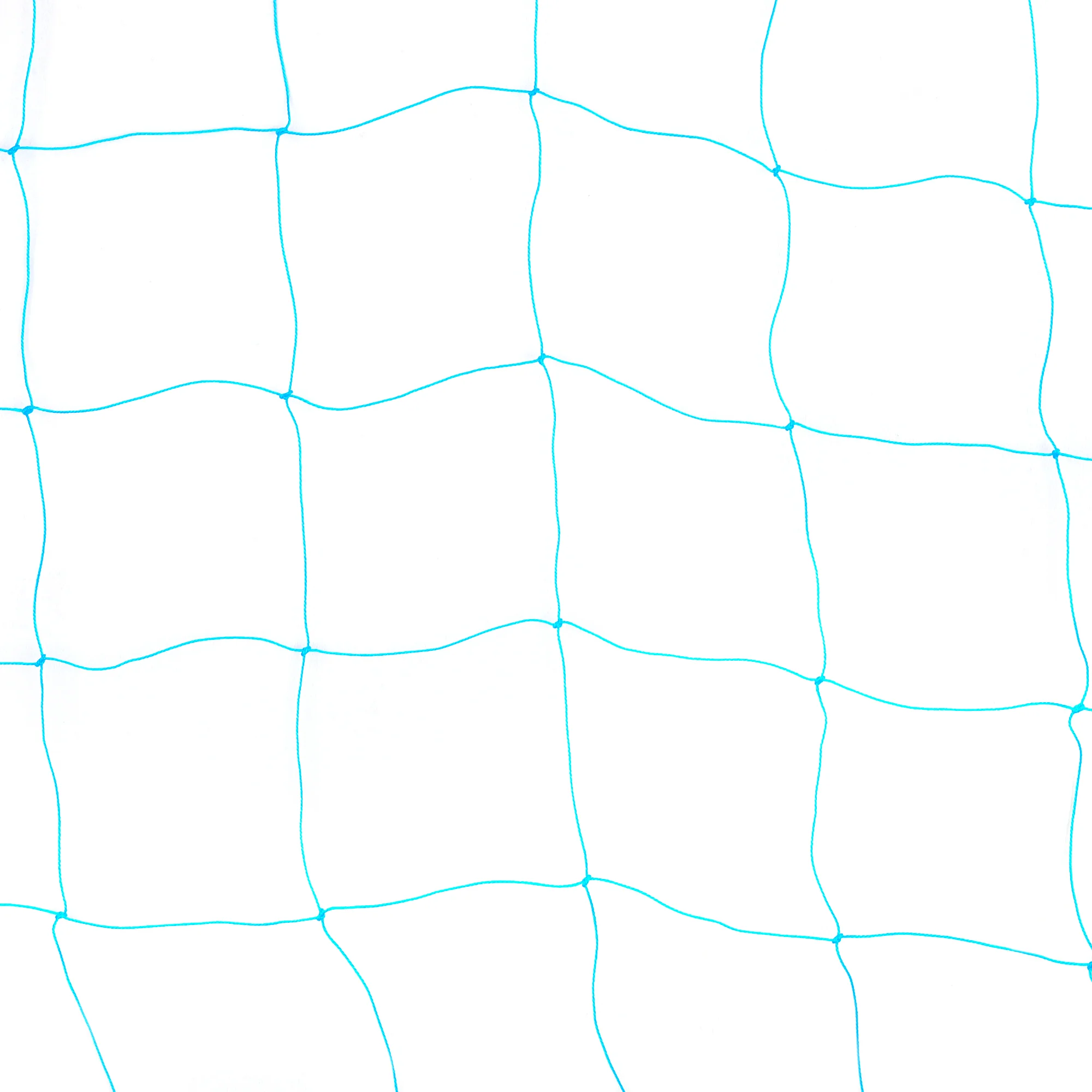 Creeper Plant Support Net – 1.5m x 5m | Heavy-Duty Blue Climbing Net for Creepers & Vines - Image 3