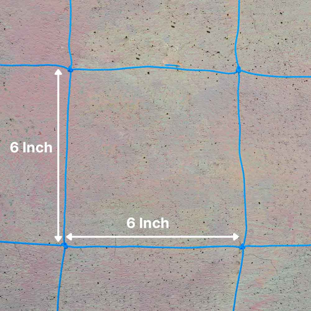 Creeper Plant Support Net – 1.5m x 5m | Heavy-Duty Blue Climbing Net for Creepers & Vines - Image 5