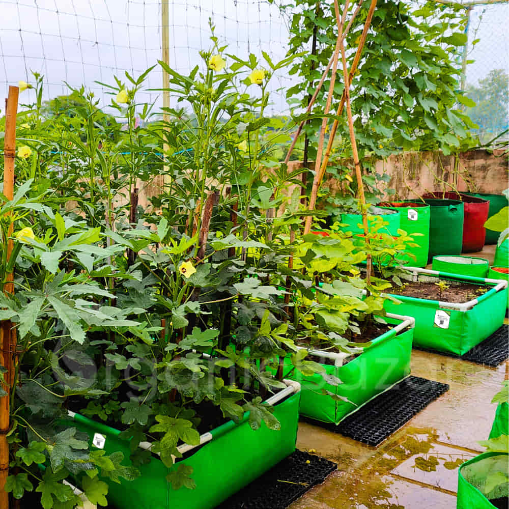 Drain Cell / Drainage Mat For Terrace Garden 50x30x2 cm (10 Nos) - Image 5