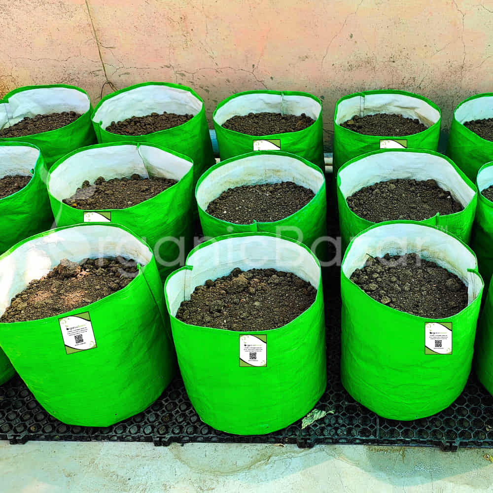 Drain Cell / Drainage Mat For Terrace Garden 50x30x2 cm (10 Nos) - Image 6