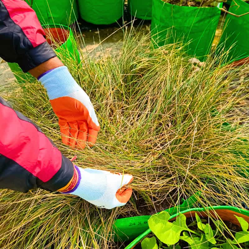 Gardening Gloves for Men and Women - Image 4