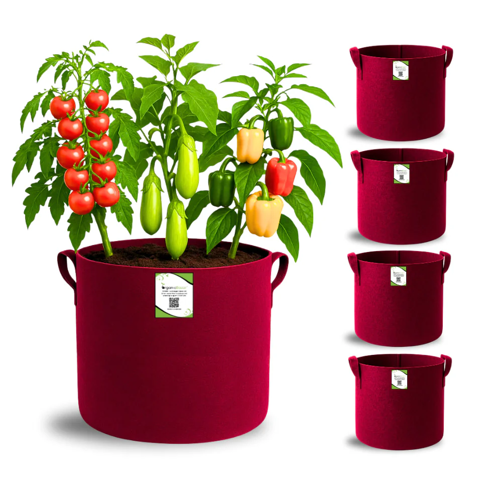 Geo Fabric 12x12 Grow Bag For Terrace Gardening Suitable For Vegetable and Flower Plants - Image 3