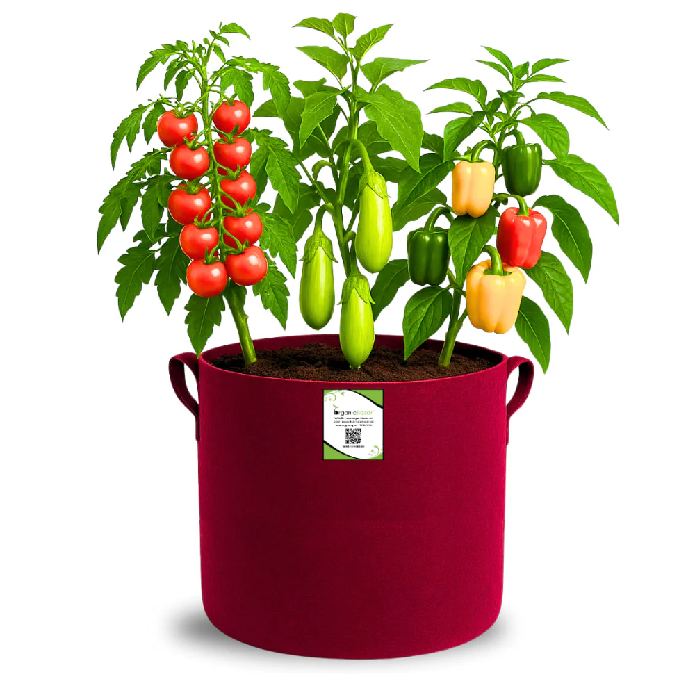 Geo Fabric 12x12 Grow Bag For Terrace Gardening Suitable For Vegetable and Flower Plants - Image 4