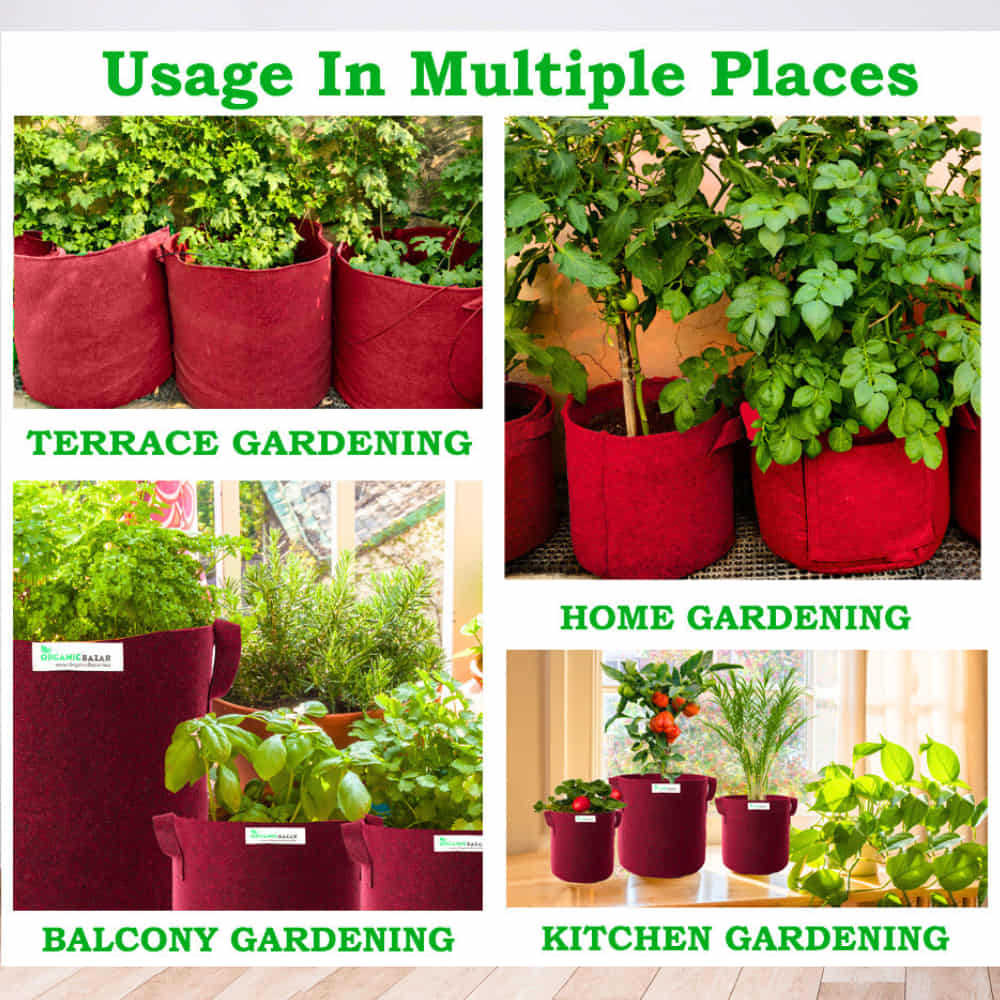 Geo Fabric 15x15 Grow Bag For Terrace Gardening Suitable For Vegetable and Flower Plants - Image 11