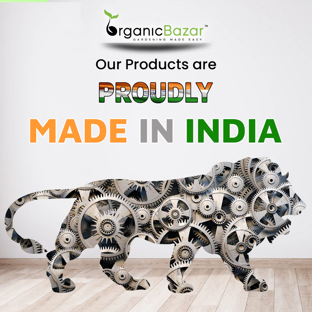 Geo Fabric 15x15 Grow Bag For Terrace Gardening Suitable For Vegetable and Flower Plants - Image 12