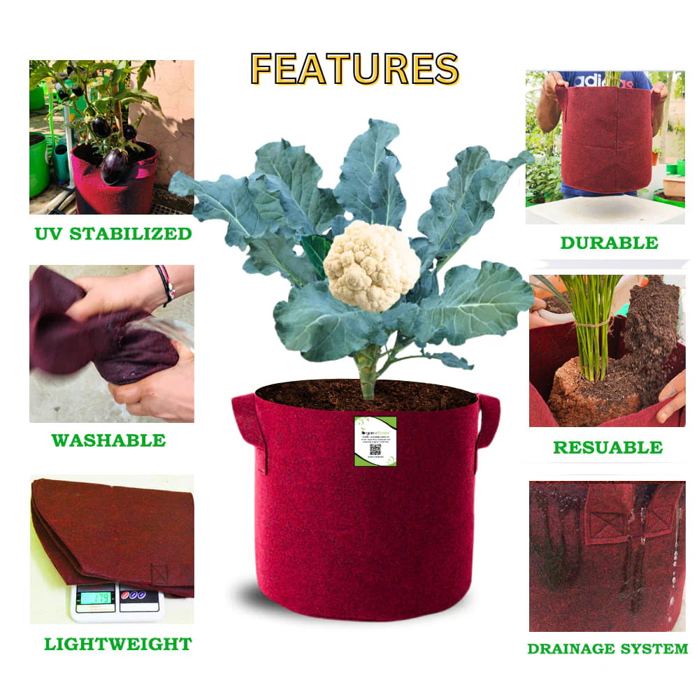 Geo Fabric 15x15 Grow Bag For Terrace Gardening Suitable For Vegetable and Flower Plants - Image 3