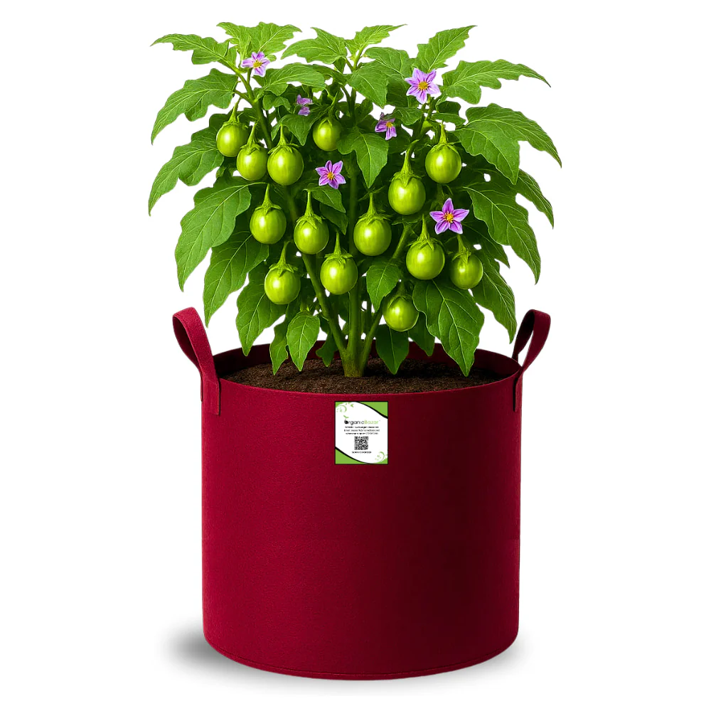 Geo Fabric 15x15 Grow Bag For Terrace Gardening Suitable For Vegetable and Flower Plants - Image 4