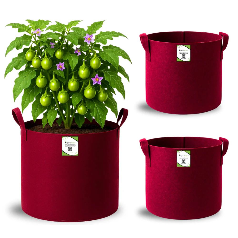 Geo Fabric 15x15 Grow Bag For Terrace Gardening Suitable For Vegetable and Flower Plants - Image 5