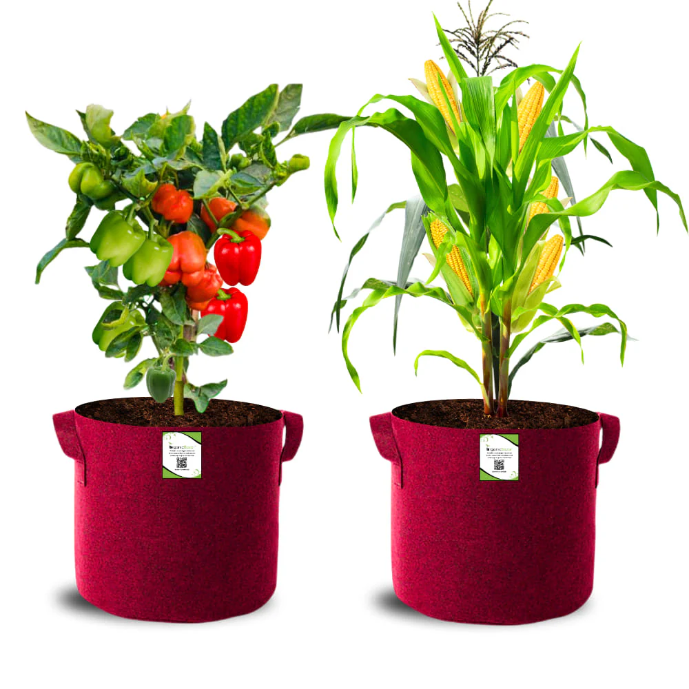 Geo Fabric 15x15 Grow Bag For Terrace Gardening Suitable For Vegetable and Flower Plants - Image 7