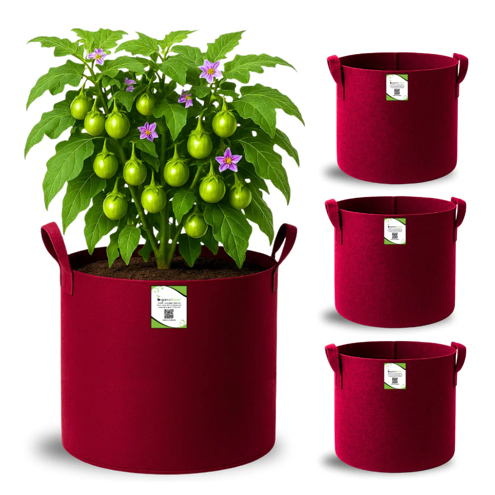 Geo Fabric 15x15 Grow Bag For Terrace Gardening Suitable For Vegetable and Flower Plants - Image 8