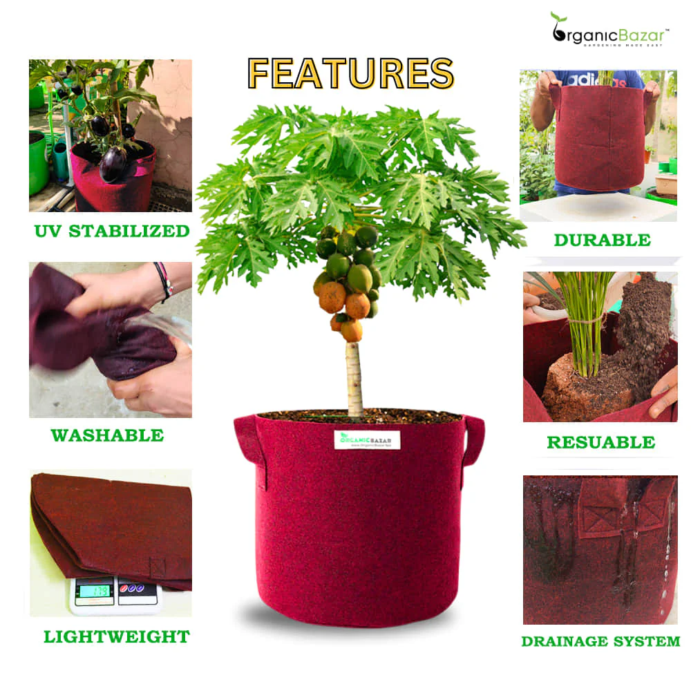 OragnicBazar Geo 24×24 Grow Bag for Home & Terrace Gardening Suitable for Fruit Tree, Premium Geo Fabric 450 GSM Plant Bags - Image 5