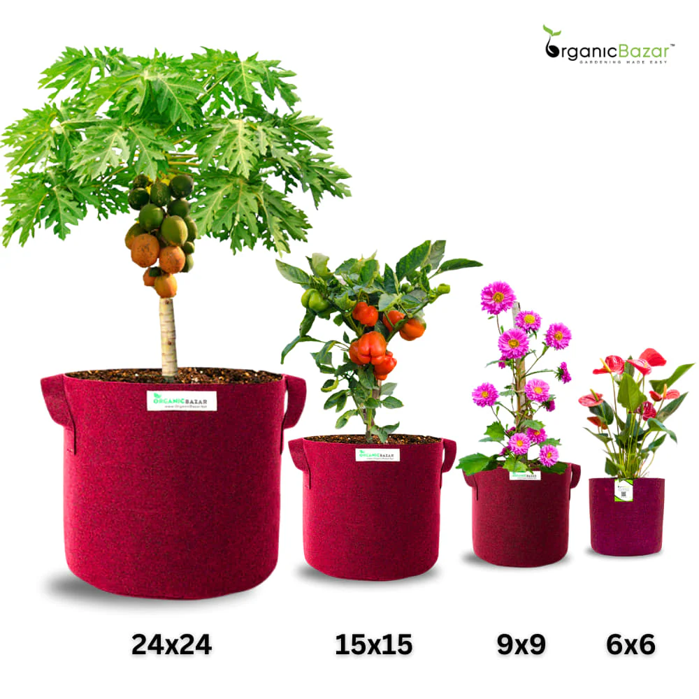 OragnicBazar Geo 24×24 Grow Bag for Home & Terrace Gardening Suitable for Fruit Tree, Premium Geo Fabric 450 GSM Plant Bags - Image 6