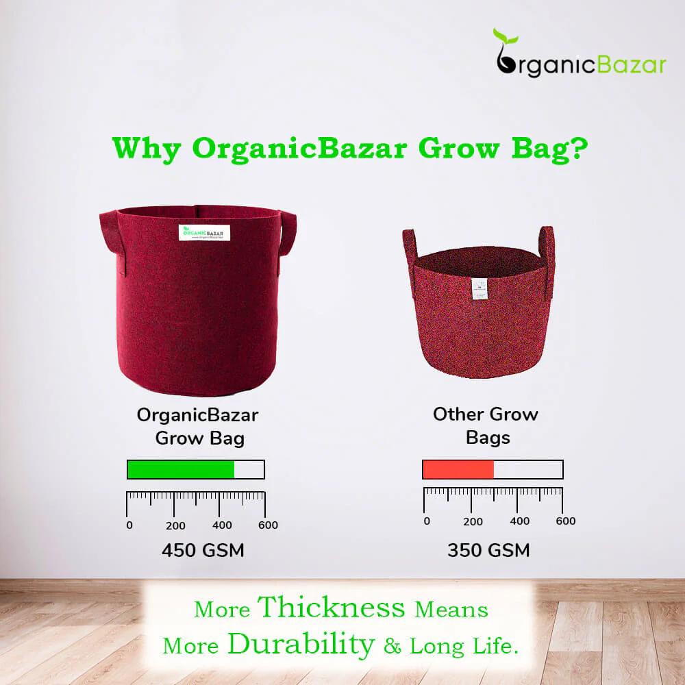 OragnicBazar Geo 24×24 Grow Bag for Home & Terrace Gardening Suitable for Fruit Tree, Premium Geo Fabric 450 GSM Plant Bags - Image 8