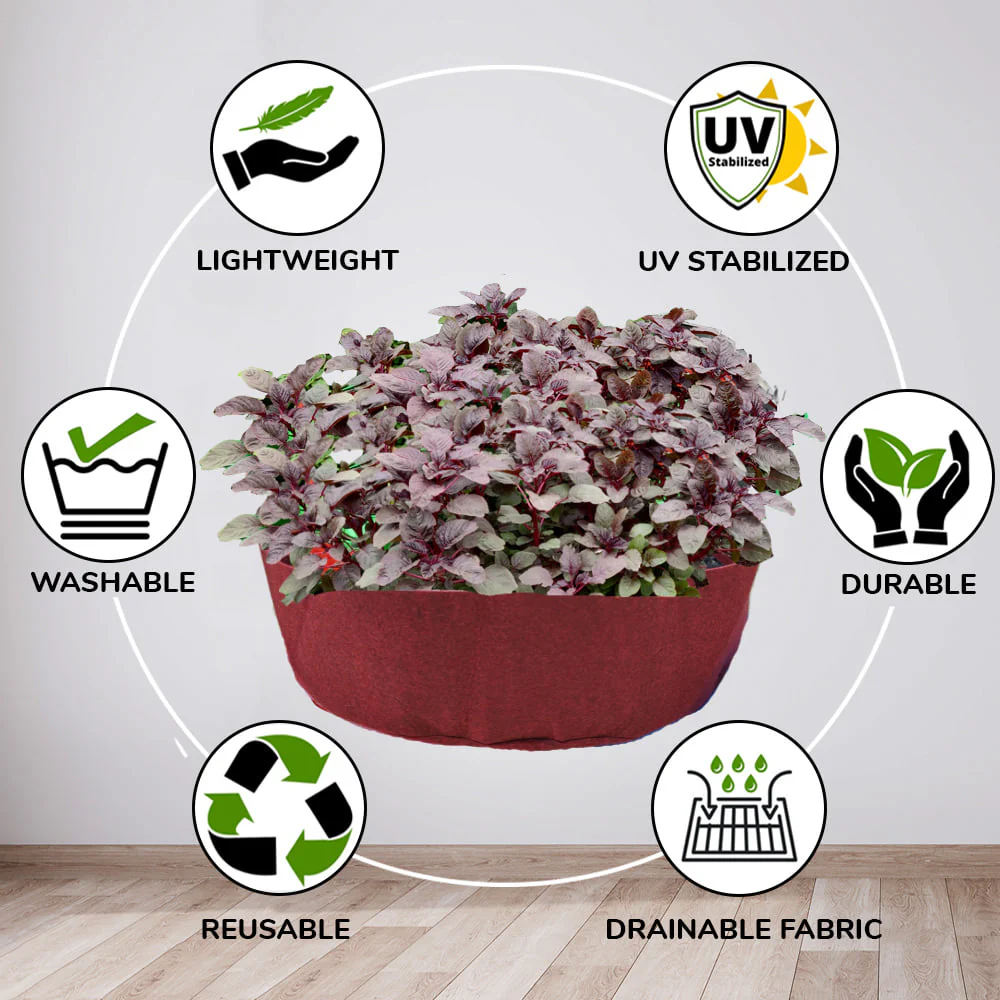 Geo Fabric 24x9 Grow Bag For Terrace Gardening Suitable For Leafy Vegetable and Flower Plants - Image 5
