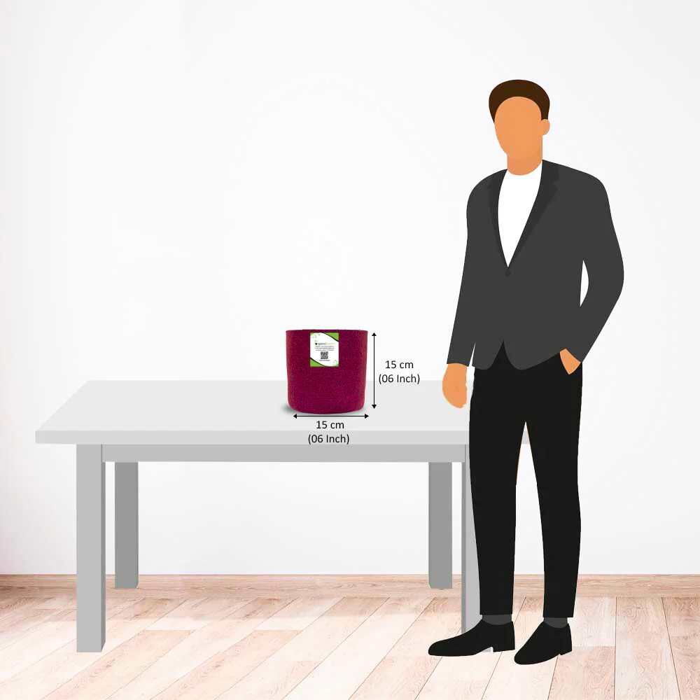 OrganicBazar 6x6 Small Size Grow Bags for Terrace Gardening, Premium Quality Geo Fabric 450 GSM Planters for Small Plants - Image 3