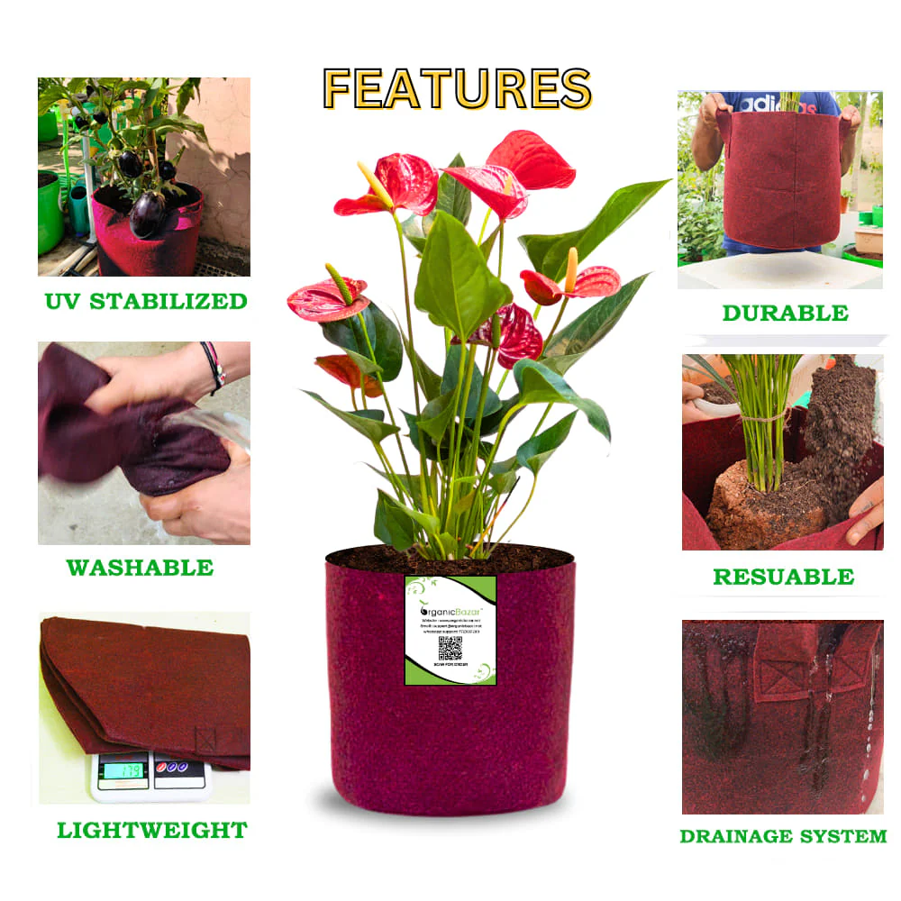 OrganicBazar 6x6 Small Size Grow Bags for Terrace Gardening, Premium Quality Geo Fabric 450 GSM Planters for Small Plants - Image 4