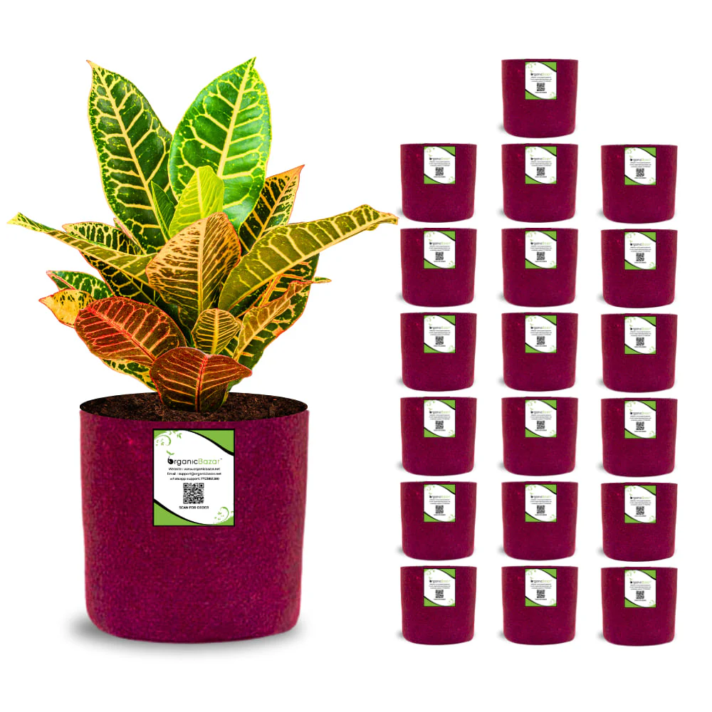 OrganicBazar 6x6 Small Size Grow Bags for Terrace Gardening, Premium Quality Geo Fabric 450 GSM Planters for Small Plants - Image 8