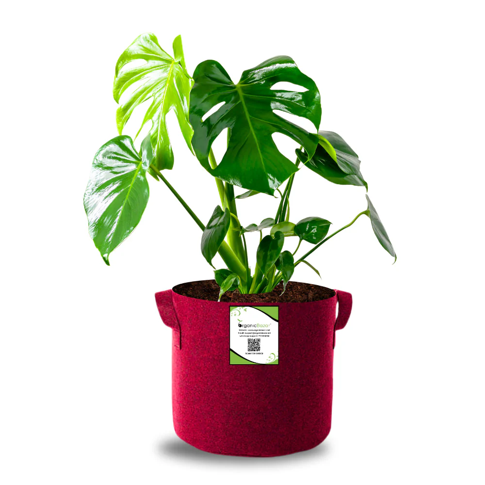 OrganicBazar 9x9 Geo Grow Bags Suitable for Vegetable and Flower Plants, Premium Quality 450 GSM Maroon Planters for Terrace Garden - Image 4