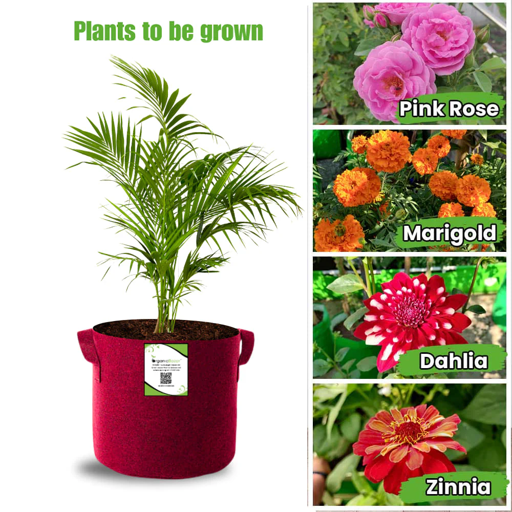 OrganicBazar 9x9 Geo Grow Bags Suitable for Vegetable and Flower Plants, Premium Quality 450 GSM Maroon Planters for Terrace Garden - Image 5