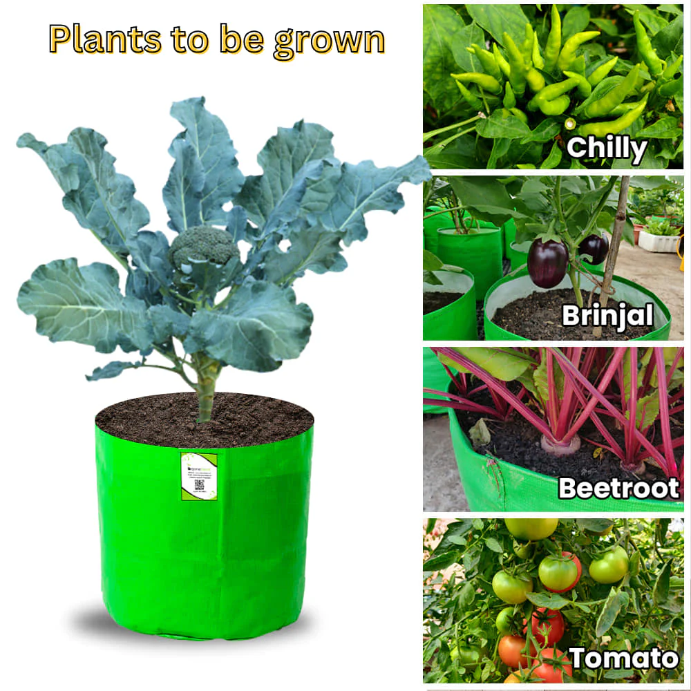 OrganicBazar 12x15 Grow Bag for Vegetable Garden, Premium HDPE 260 GSM, Green Plant Bags - Image 5