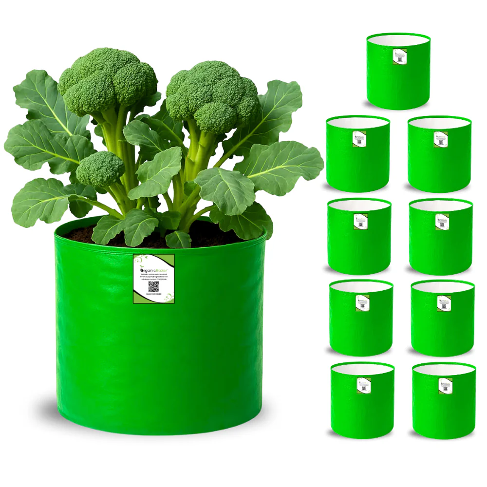 OrganicBazar 12x15 Grow Bag for Vegetable Garden, Premium HDPE 260 GSM, Green Plant Bags - Image 6