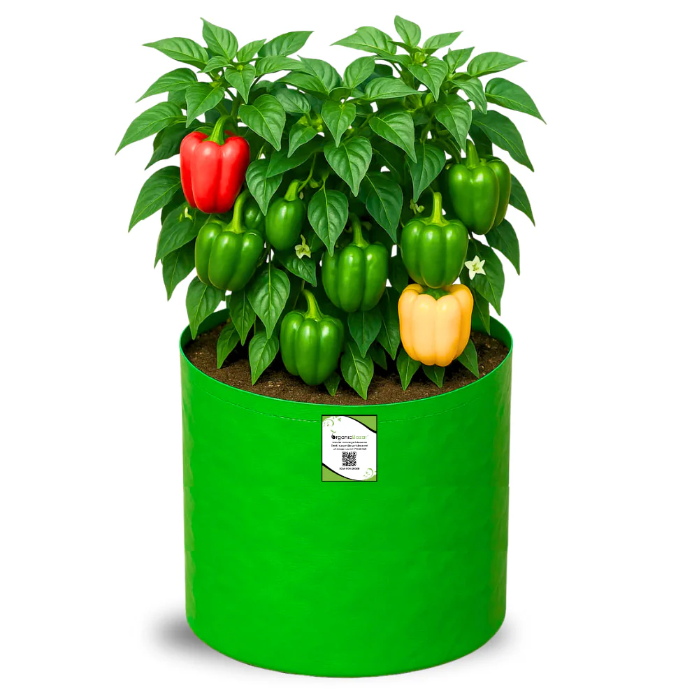 OrganicBazar 15x15 Grow Bag for Vegetable Gardening, Premium HDPE 260 GSM, Green Plant Bags for Terrace Garden - Image 3