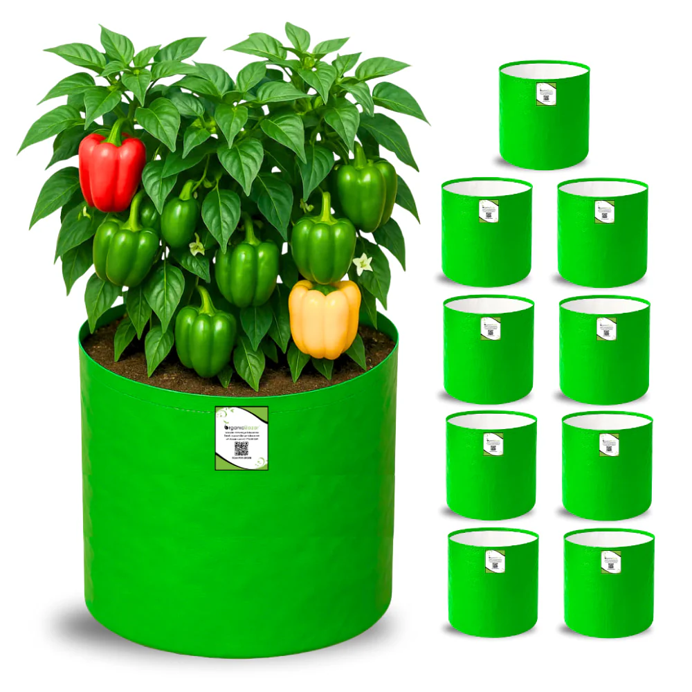 OrganicBazar 15x15 Grow Bag for Vegetable Gardening, Premium HDPE 260 GSM, Green Plant Bags for Terrace Garden - Image 4