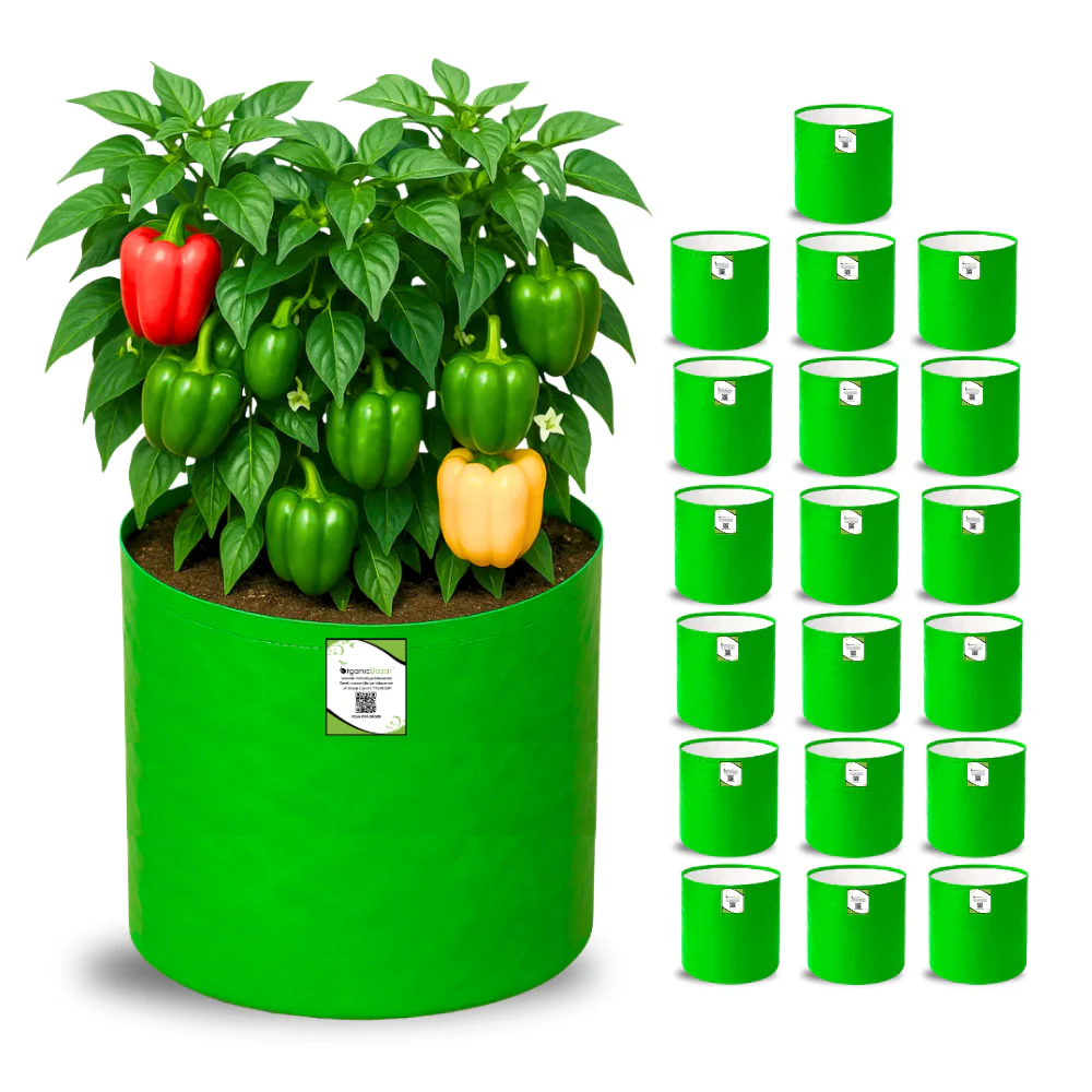 OrganicBazar 15x15 Grow Bag for Vegetable Gardening, Premium HDPE 260 GSM, Green Plant Bags for Terrace Garden - Image 7