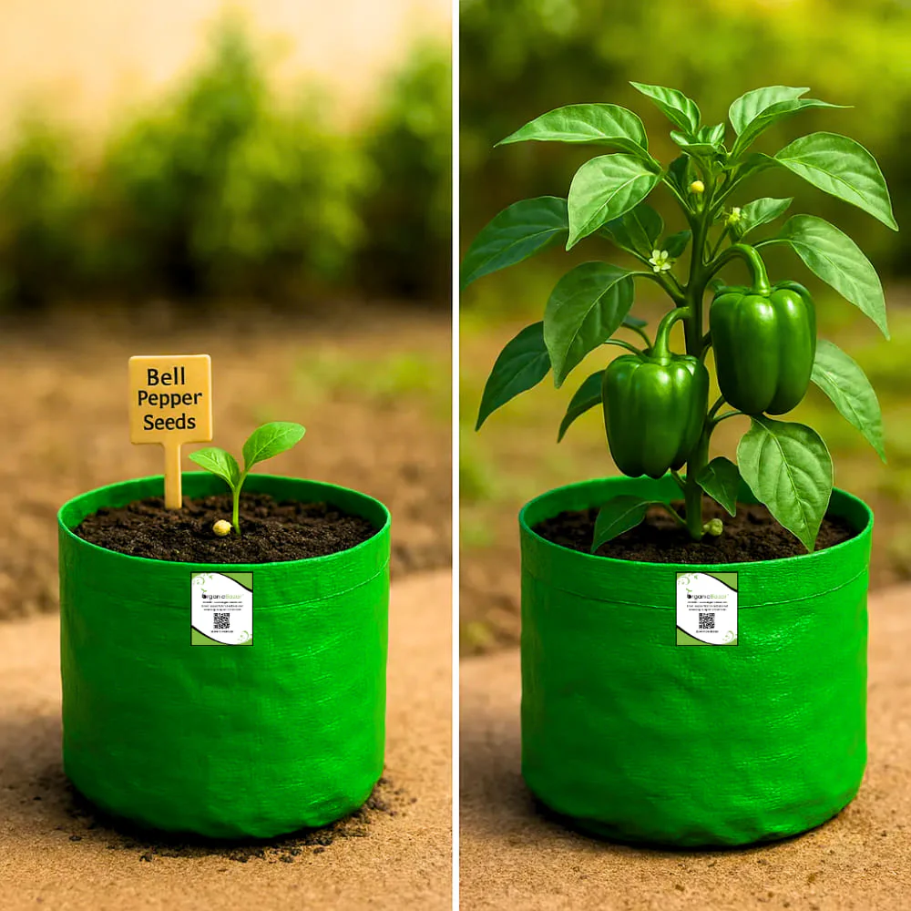 OrganicBazar 15x15 Grow Bag for Vegetable Gardening, Premium HDPE 260 GSM, Green Plant Bags for Terrace Garden - Image 9