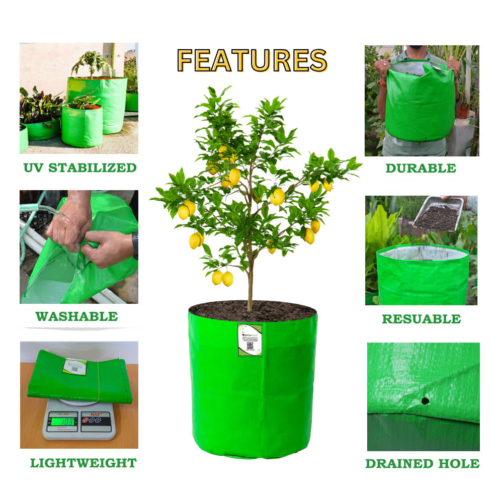 OrganicBazar 15x18 Big Grow Bag for Terrace Garden, Premium HDPE 260 GSM Green Plant Bags - Image 3