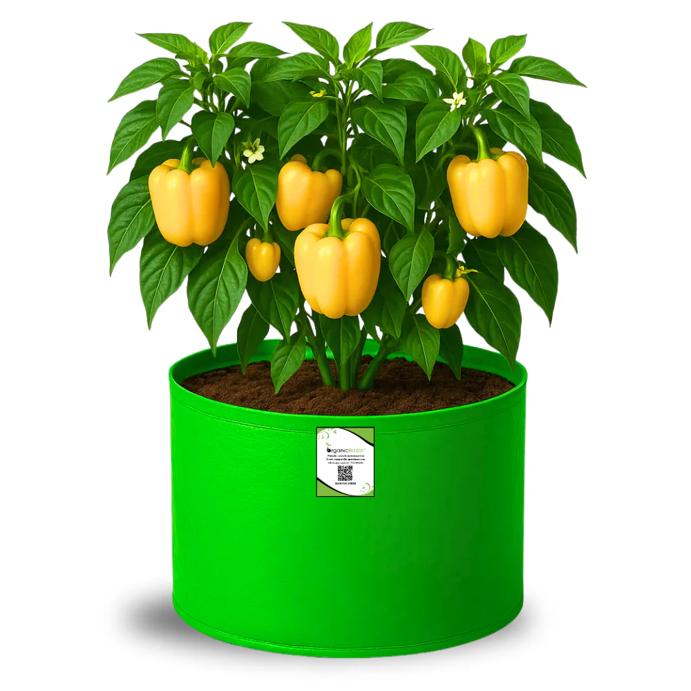 OrganicBazar 15x12 Grow Bag for Vegetable Garden, Premium HDPE 260 GSM Green Plant Bags for Terrace Gardening - Image 3