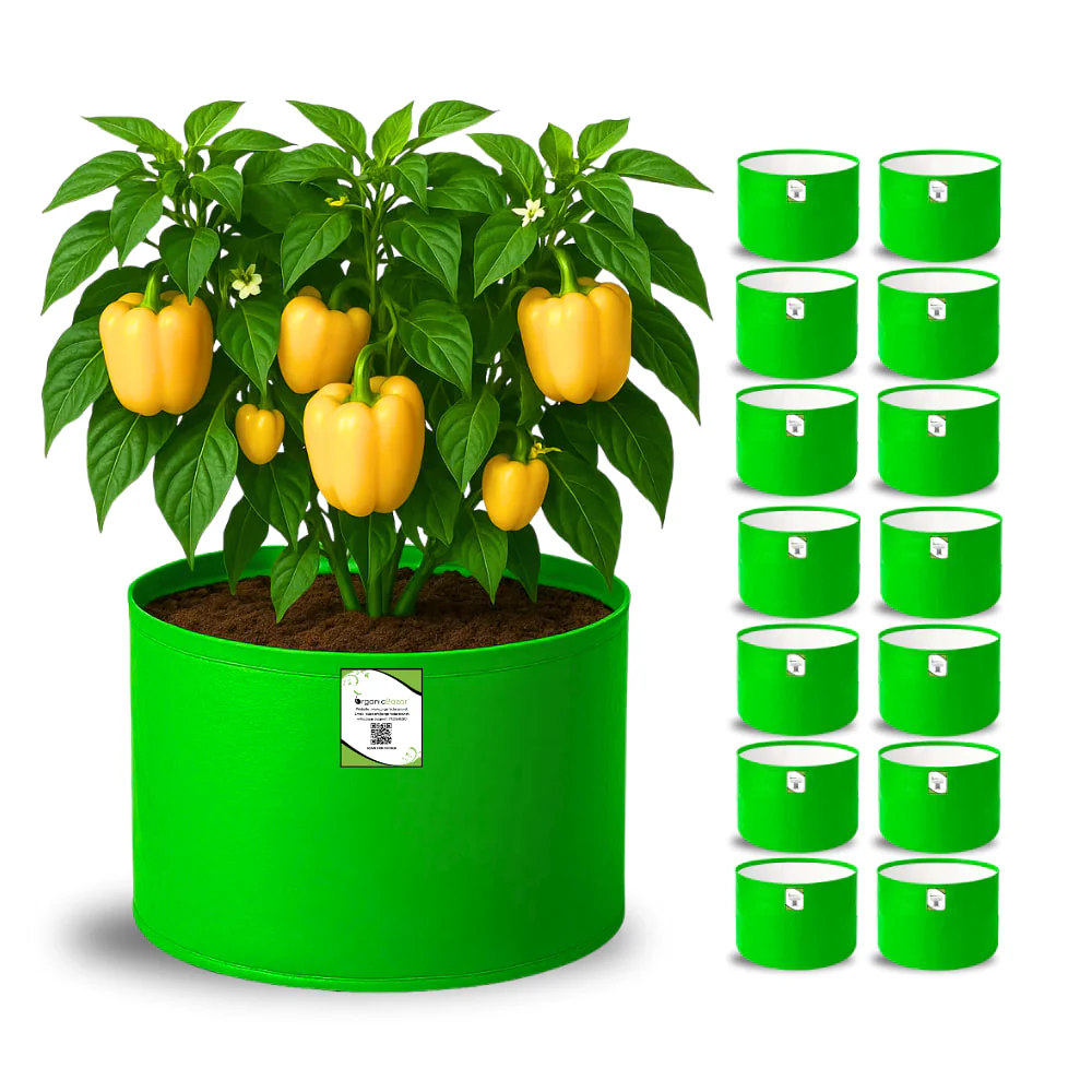 OrganicBazar 15x12 Grow Bag for Vegetable Garden, Premium HDPE 260 GSM Green Plant Bags for Terrace Gardening - Image 4