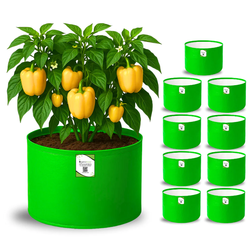 OrganicBazar 15x12 Grow Bag for Vegetable Garden, Premium HDPE 260 GSM Green Plant Bags for Terrace Gardening - Image 5