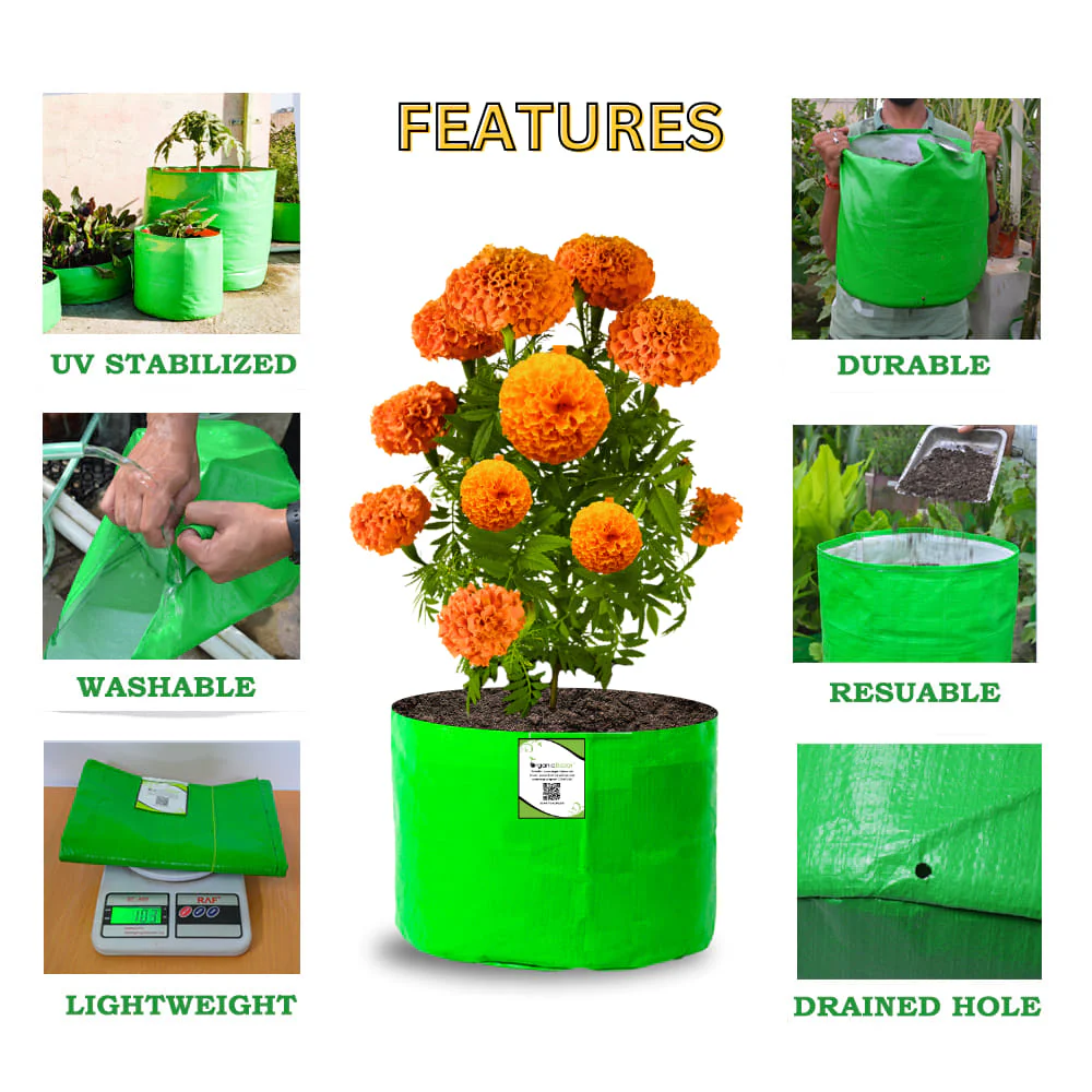 OrganicBazar 15x12 Grow Bag for Vegetable Garden, Premium HDPE 260 GSM Green Plant Bags for Terrace Gardening - Image 6