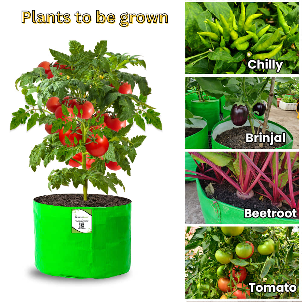 OrganicBazar 15x12 Grow Bag for Vegetable Garden, Premium HDPE 260 GSM Green Plant Bags for Terrace Gardening - Image 9