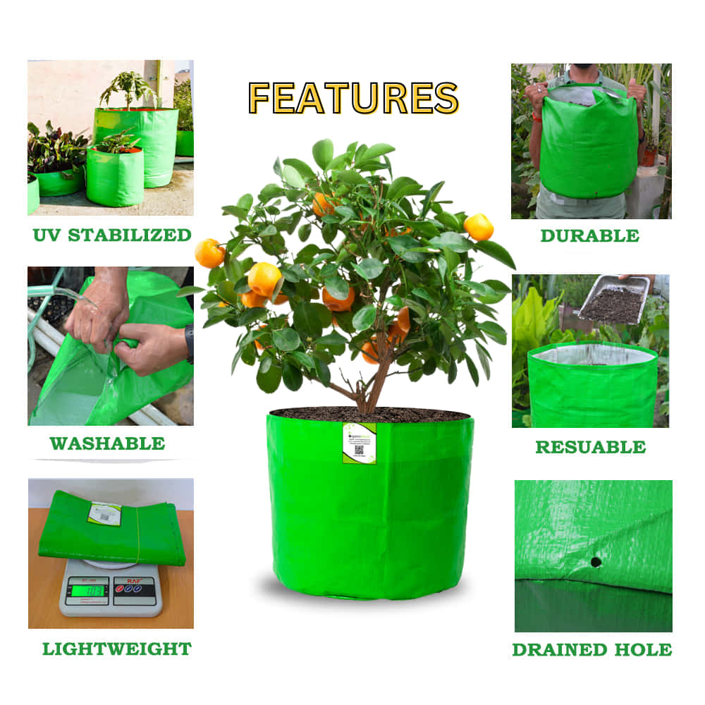 HDPE 18x18 Grow Bags for Terrace Gardening Extra Thick Premium Quality Grow Bags - Image 3