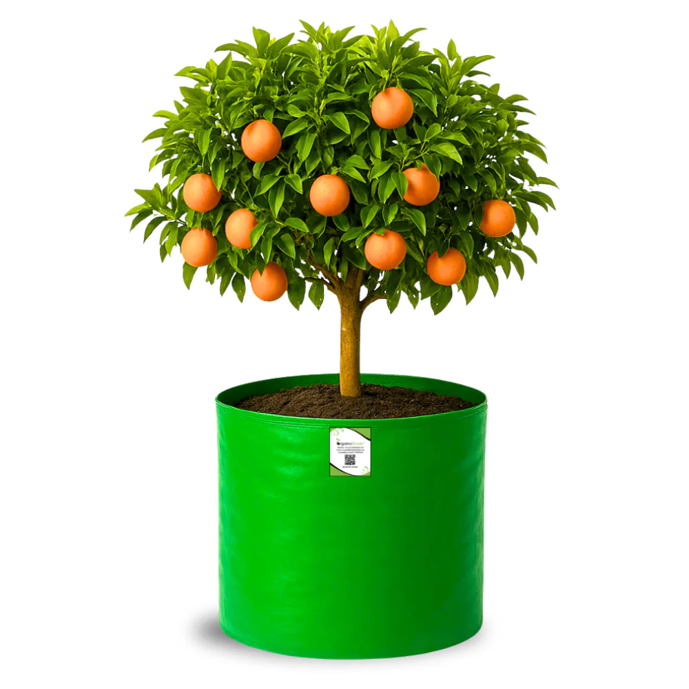 HDPE 18x18 Grow Bags for Terrace Gardening Extra Thick Premium Quality Grow Bags - Image 5